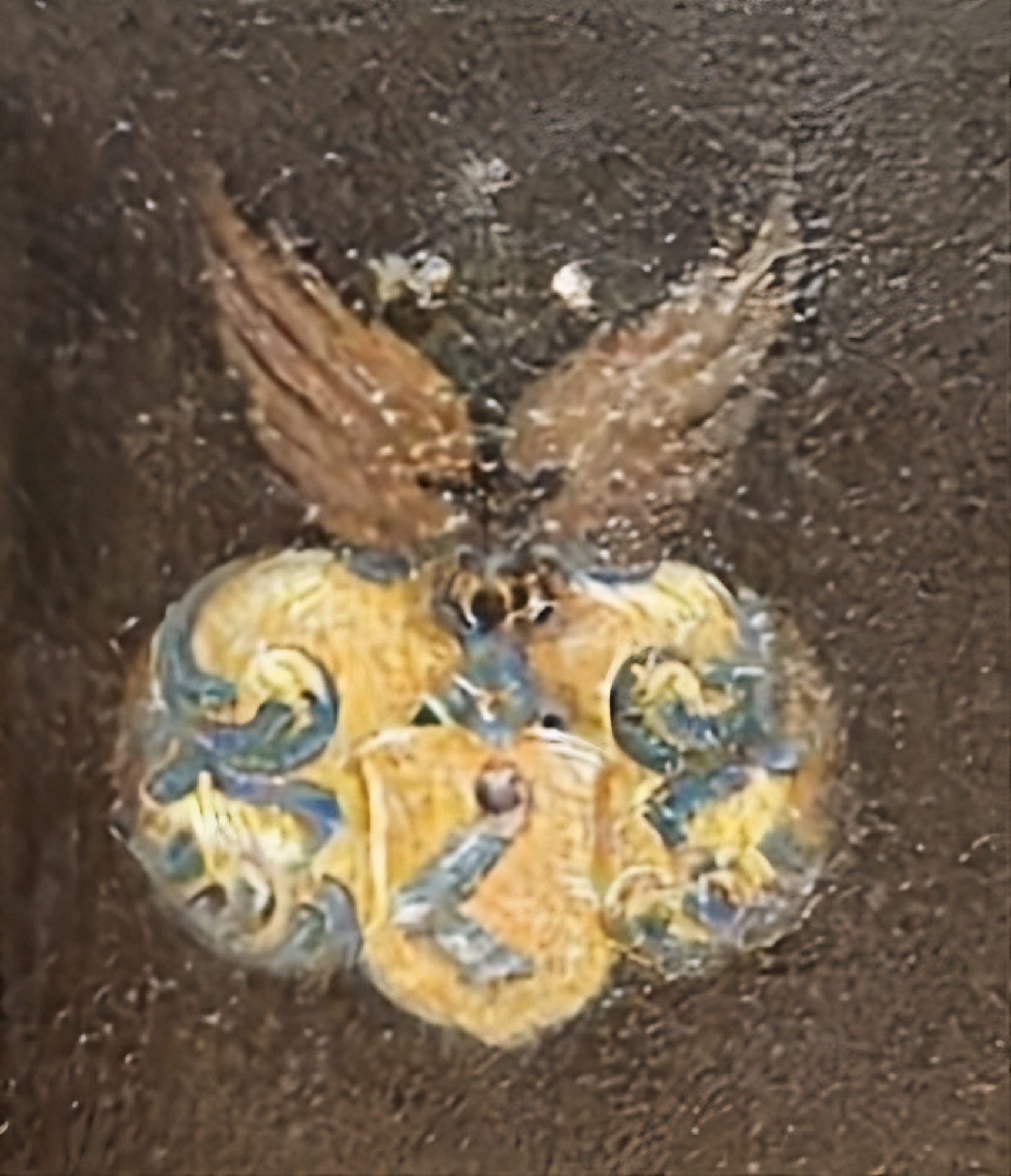  17th century coat of arms from Göran Pålman’s portrait